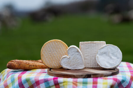 les 4 fromages AOP de Normandie